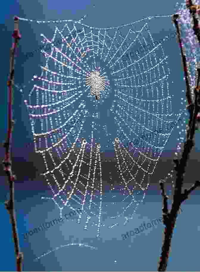 A Delicate Spider's Web Shimmering With Morning Dew, Representing The Interconnectedness And Fragility Of The Universe. Analogies Energies And Celestial Bodies