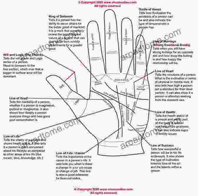 A Detailed Image Of A Human Palm, Showcasing The Intricate Lines And Patterns Used In Palmistry Astro Palm Numero Thelonius Chestang