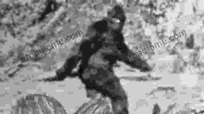 A Glimpse Of The Legendary Bigfoot, A Towering Humanoid Creature Said To Inhabit The Forests Of North America Monster Spotter S Guide To North America