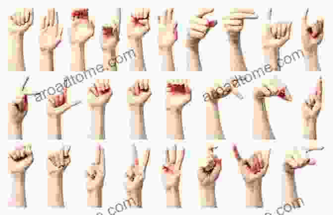 A Group Of People Communicating Using Finger Alphabet The Flemish Sign Language Alphabet A Project FingerAlphabet Reference Manual: Letters A Z Numbers 0 10 Two Viewing Angles (Project Fingeralphabet Basic Manuals 11)