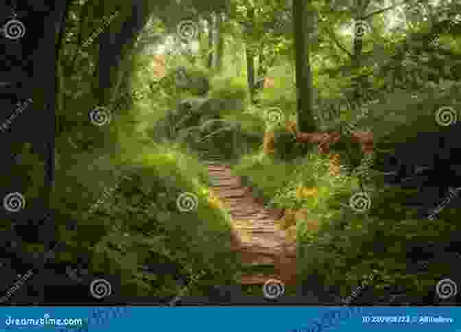 A Hiker Stands On A Trail In A Forest, Surrounded By Lush Greenery And Sunlight. Hiking Maryland: A Guide For Hikers Photographers