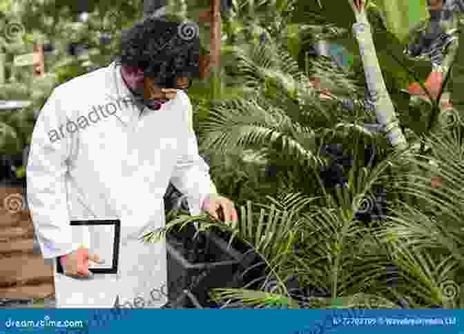 A Person Attentively Examining A Plant Variation Aware Design Of Custom Integrated Circuits: A Hands On Field Guide