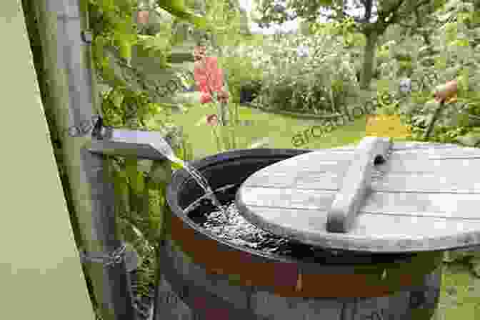 A Person Collecting Rainwater In A Bucket Turning Off The Tap: Overcoming The Real Reasons We Overeat