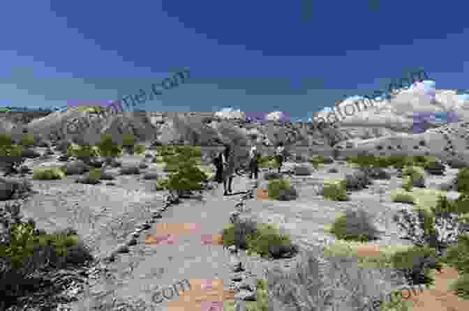 A Photograph Of Visitors Exploring The Fossil Beds At Fossil Basin The Geological History Of Fossil Butte National Monument And Fossil Basin