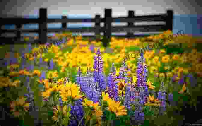 A Vibrant Display Of Wildflowers Variation Aware Design Of Custom Integrated Circuits: A Hands On Field Guide