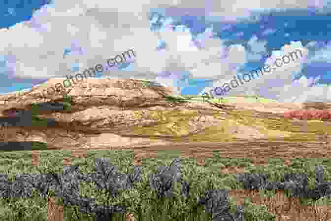 An Artistic Rendition Of The Eocene Landscape At Fossil Butte National Monument The Geological History Of Fossil Butte National Monument And Fossil Basin