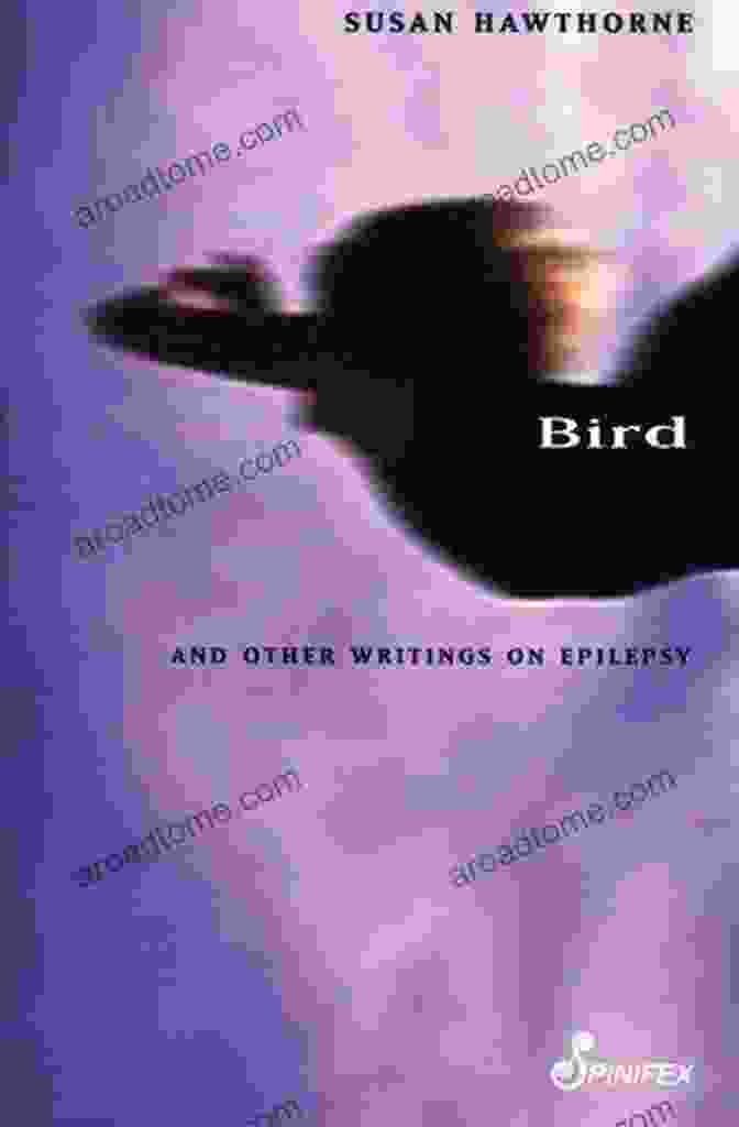 Book Cover Of Bird And Other Writings By Susan Hawthorne, Featuring A Bird In Flight Against A Vibrant Sky Bird: And Other Writings Susan Hawthorne