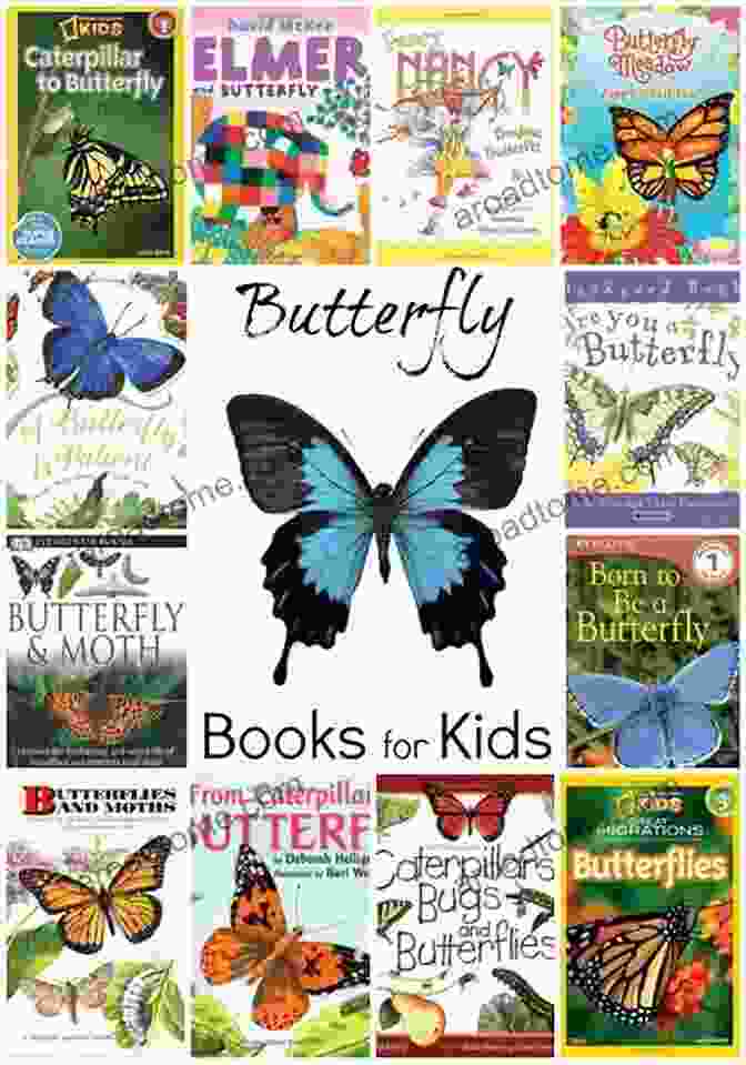 Butterfly Park Book Cover Butterfly Park Elly MacKay