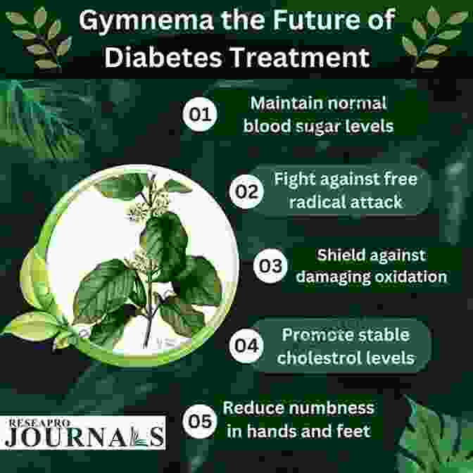 Gymnema Sylvestre Plant The Diabetes Manuscripts : Natural And Effective Home Remedies For Prevention And Treatment Of Type 2 Diabetes Mellitus