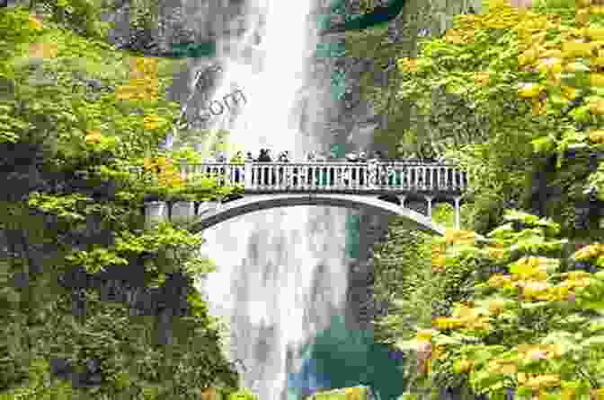 Hiker On A Trail In Portland Walking Portland Oregon 2nd (Walking Guides Series)