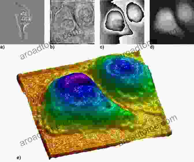 Holographic Microscopy Image Of A Cell, Showcasing Its Intricate Internal Structures Holographic Visions: A History Of New Science