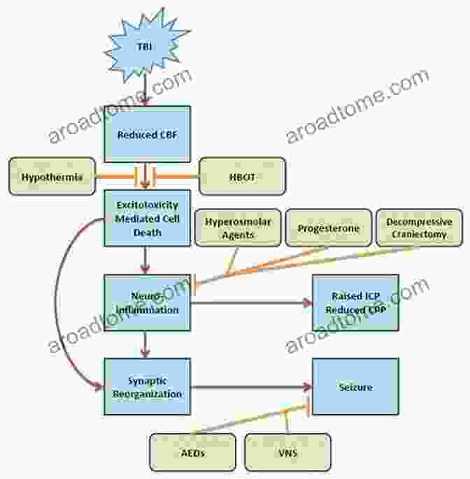 Image Illustrating The Pathophysiological Processes And Clinical Assessment Of Vascular Trauma. Clinical Review Of Vascular Trauma