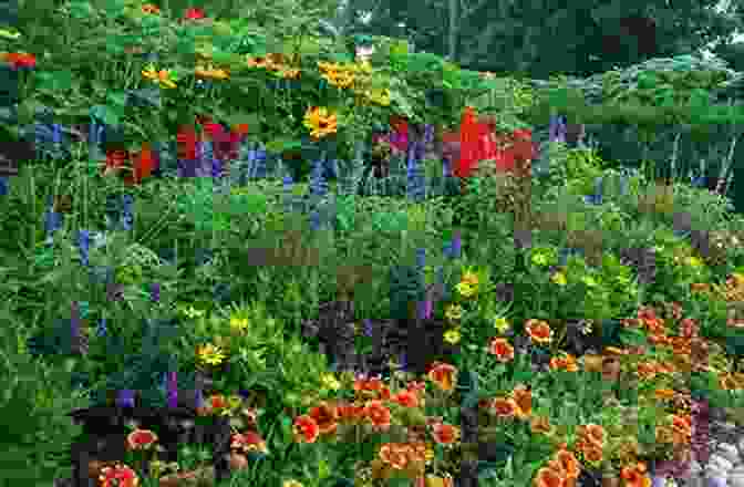 Image Of Diverse Plants In A Garden The First Time Gardener: Growing Plants And Flowers: All The Know How You Need To Plant And Tend Outdoor Areas Using Eco Friendly Methods (The First Time Gardener S Guides)