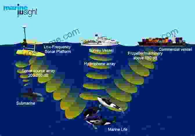 Impact Of Human Activities On Underwater Sound Principles Of Marine Bioacoustics (Modern Acoustics And Signal Processing)