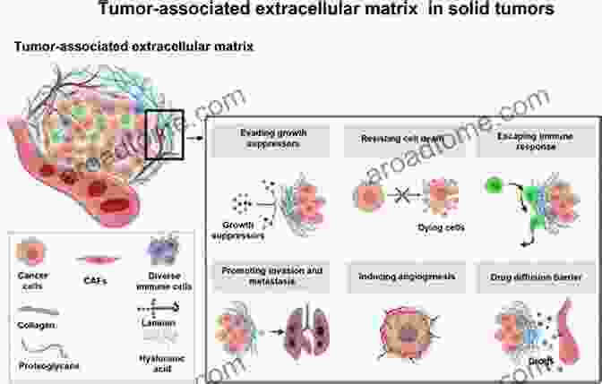 Inhibition Of Cancer Cell Growth TOCOTRIENOLS Health Benefits Nutraceutical Properties 2024