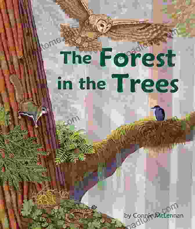 Maajabu: Fire In The Forest Book Cover Maajabu : Fire In The Forest