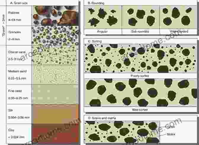 Microscopic View Of Various Soil Minerals And Sediment Grains Soils And Sediments: Mineralogy And Geochemistry