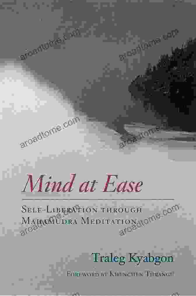 Mind At Ease Book Cover Mind At Ease: Self Liberation Through Mahamudra Meditation