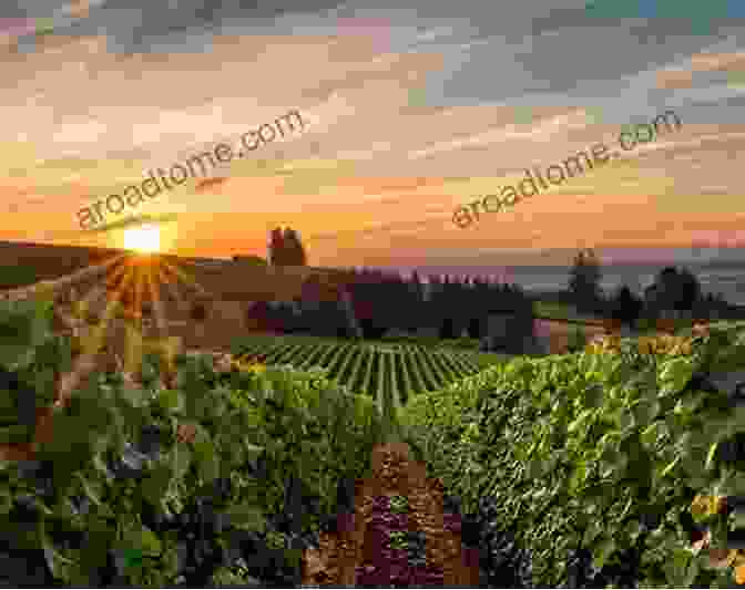 Oregon's Picturesque Vineyard Landscapes Oregon Wine: A Deep Rooted History (American Palate)