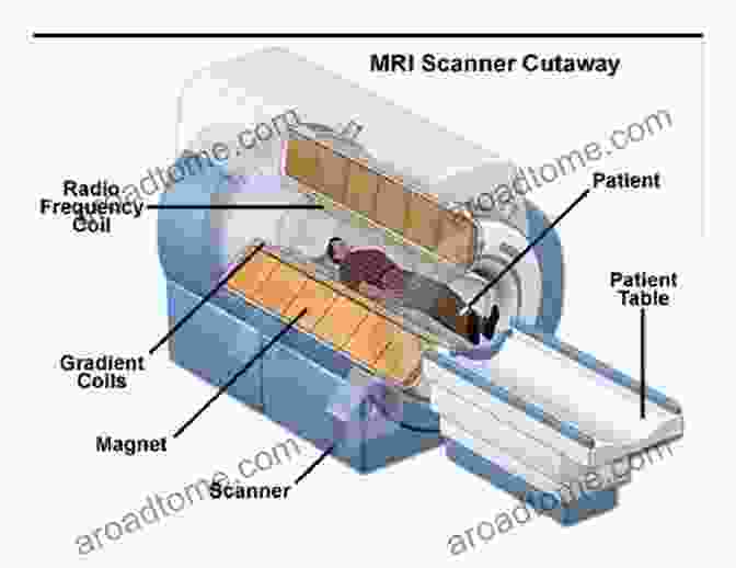 Principles Of Magnetic Resonance Imaging Magnetic Resonance Imaging: Physical And Biological Principles