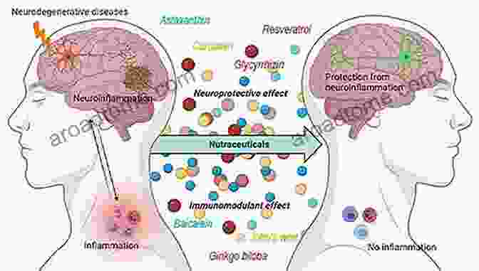 Protection From Neurodegenerative Diseases TOCOTRIENOLS Health Benefits Nutraceutical Properties 2024