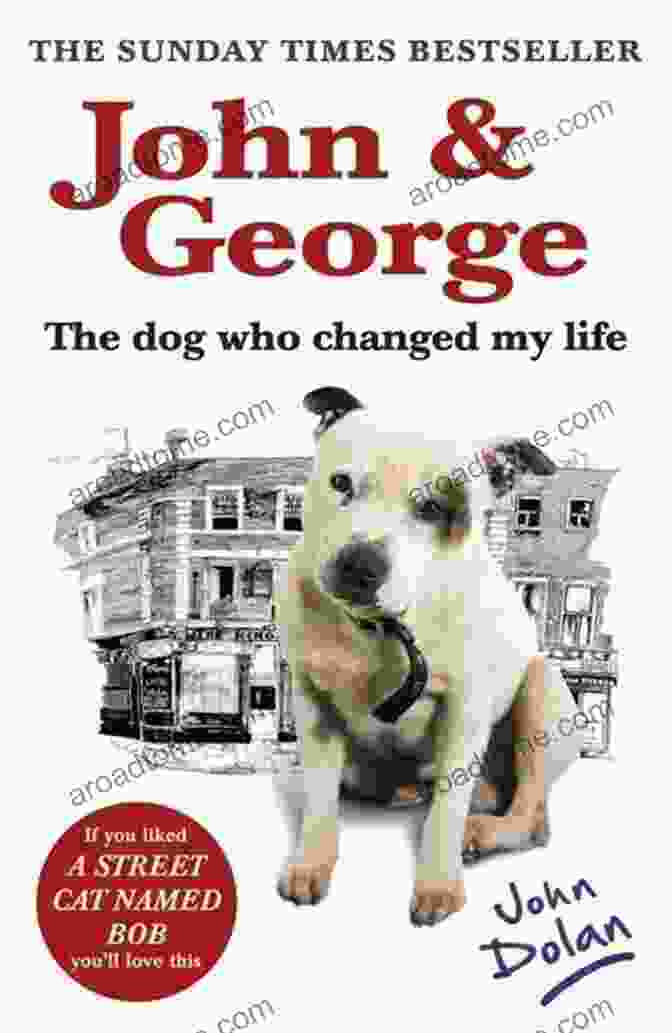 The Dog Who Changed My Life: Book Cover MAGGIE: The Dog Who Changed My Life: A Story Of Love