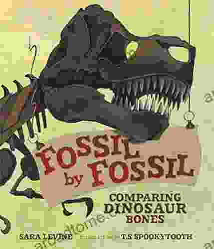 Fossil By Fossil: Comparing Dinosaur Bones (Animal By Animal)