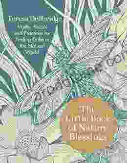 The Little Of Nature Blessings: How To Find Inner Calm In The Natural World