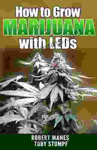 How To Grow Marijuana With LEDs