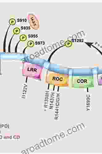 Leucine Rich Repeat Kinase 2 (LRRK2) (Advances In Neurobiology 14)