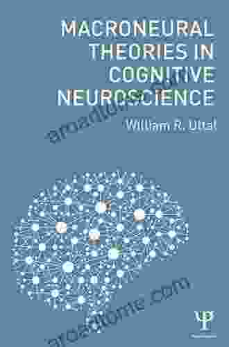 Macroneural Theories In Cognitive Neuroscience