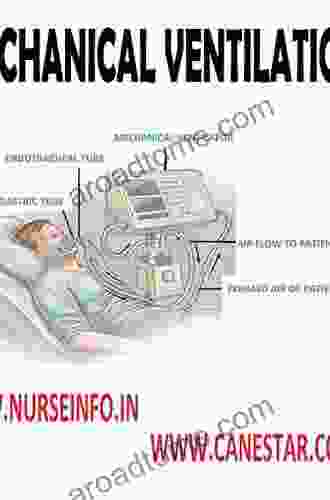Mechanical Ventilation A Guidewire For The Beginner Nurse