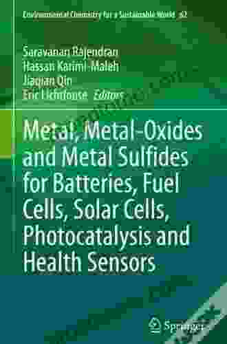 Metal Metal Oxides And Metal Sulfides For Batteries Fuel Cells Solar Cells Photocatalysis And Health Sensors (Environmental Chemistry For A Sustainable World 62)