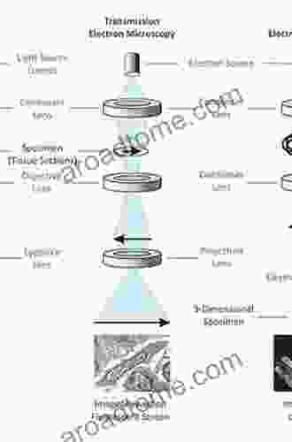 Microscopy Immunohistochemistry And Antigen Retrieval Methods: For Light And Electron Microscopy