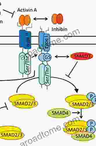 Inhibin Activin And Follistatin: Regulatory Functions In System And Cell Biology (Serono Symposia USA)