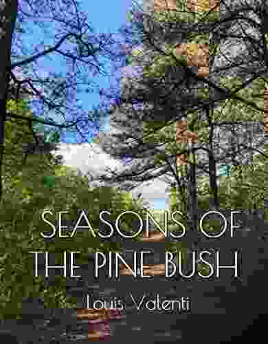 Seasons Of The Pine Bush
