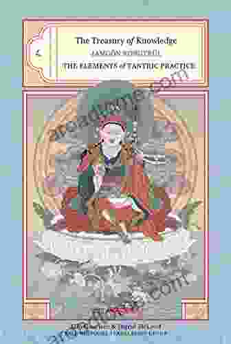The Treasury Of Knowledge: Eight Part Three: The Elements Of Tantric Practice