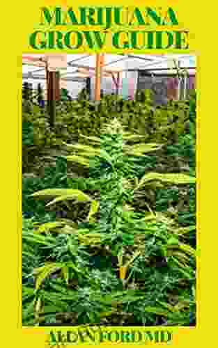 MARIJUANA GROW GUIDE: How To Grow Marijuana Indoor Outdoor Produce Mind Blowing Weed And Even Start A Business