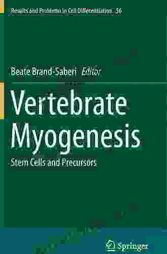 Vertebrate Myogenesis (Results And Problems In Cell Differentiation 38)