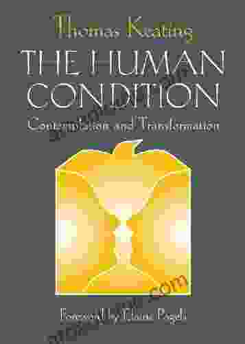 Human Condition The: Contemplation And Transformation