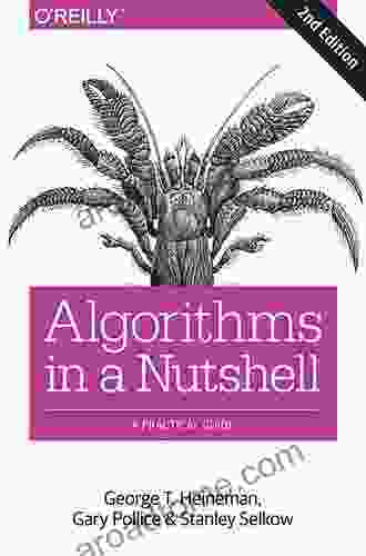 Algorithms In A Nutshell: A Practical Guide