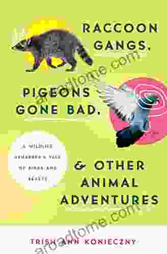 Raccoon Gangs Pigeons Gone Bad And Other Animal Adventures: A Wildlife Rehabber S Tale Of Birds And Beasts