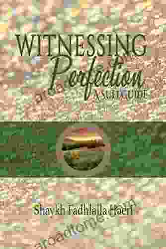 Witnessing Perfection: A Sufi Guide